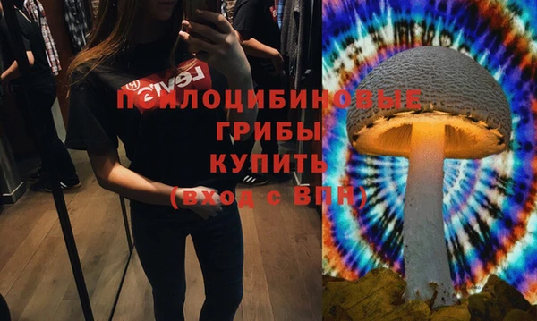 мяу мяу мука Верхний Тагил