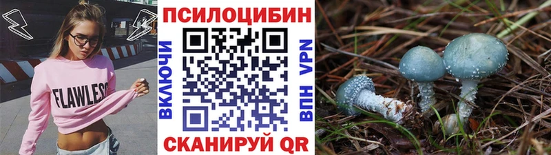 Галлюциногенные грибы MAGIC MUSHROOMS Купить закладки Цимлянск